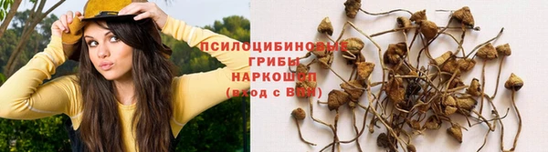apvp Балабаново