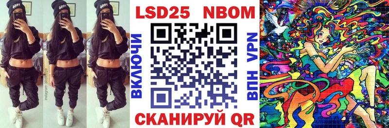 где найти   Ессентуки  Марки N-bome 1,8мг 